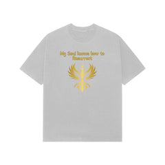 Front View - 5337289