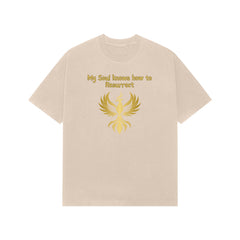 Front View - 5337291