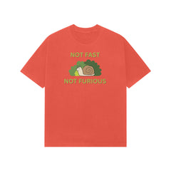 Front View - 5338099