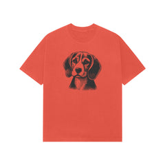 Front View - 5385246