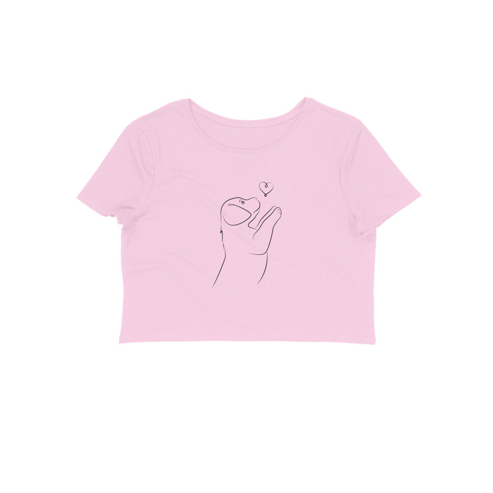 Front View - 5400893