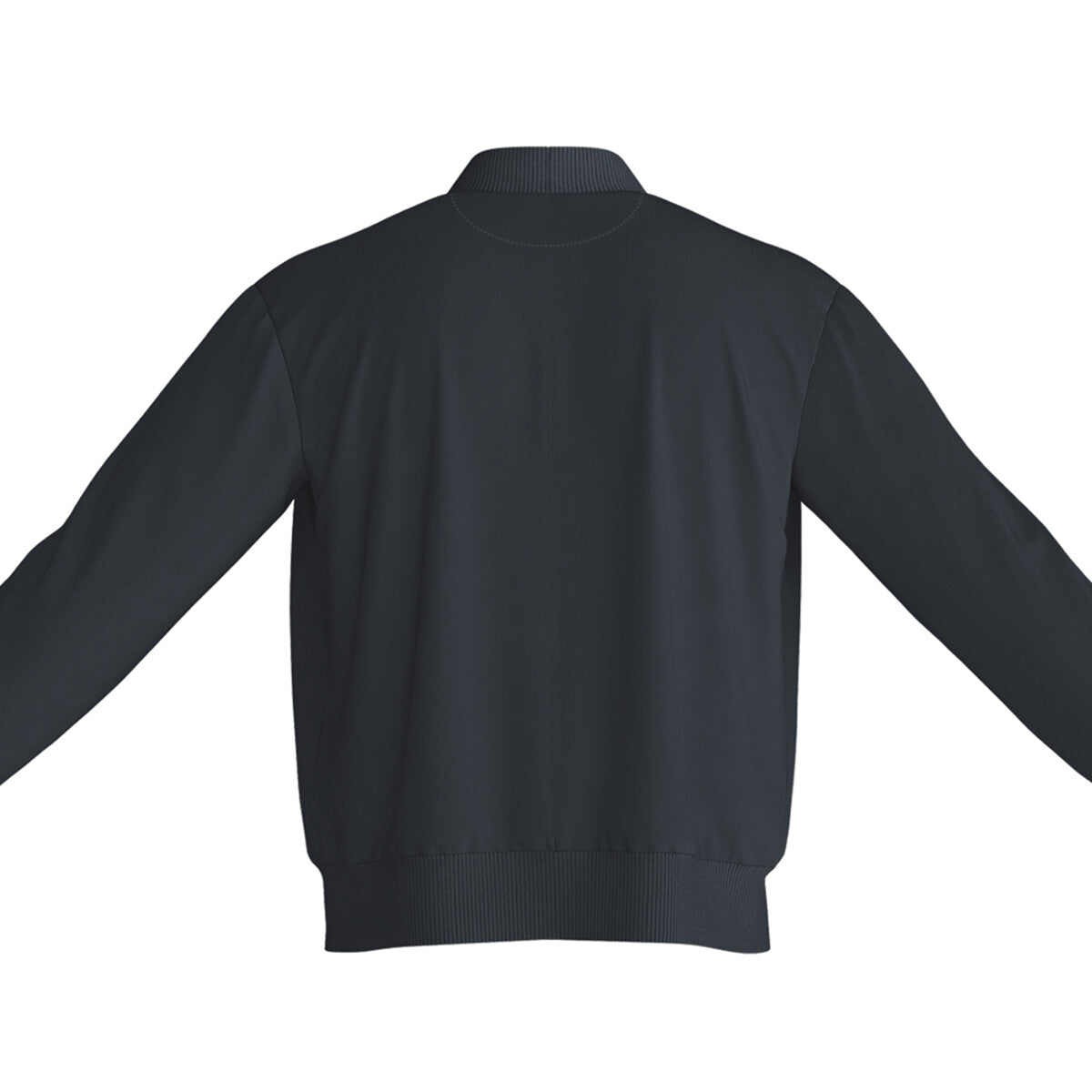 Back View - 5297884